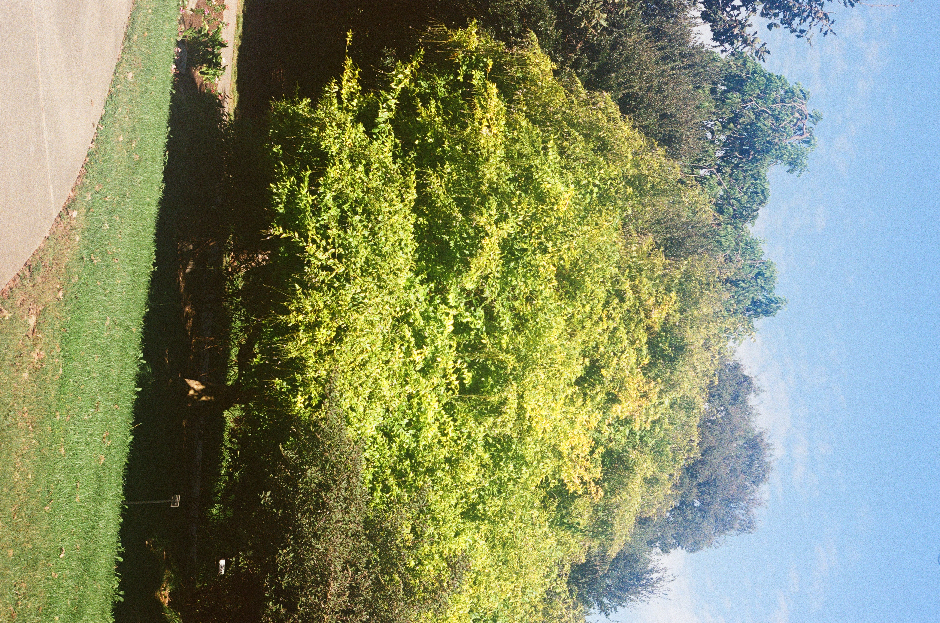 061271020012.jpg