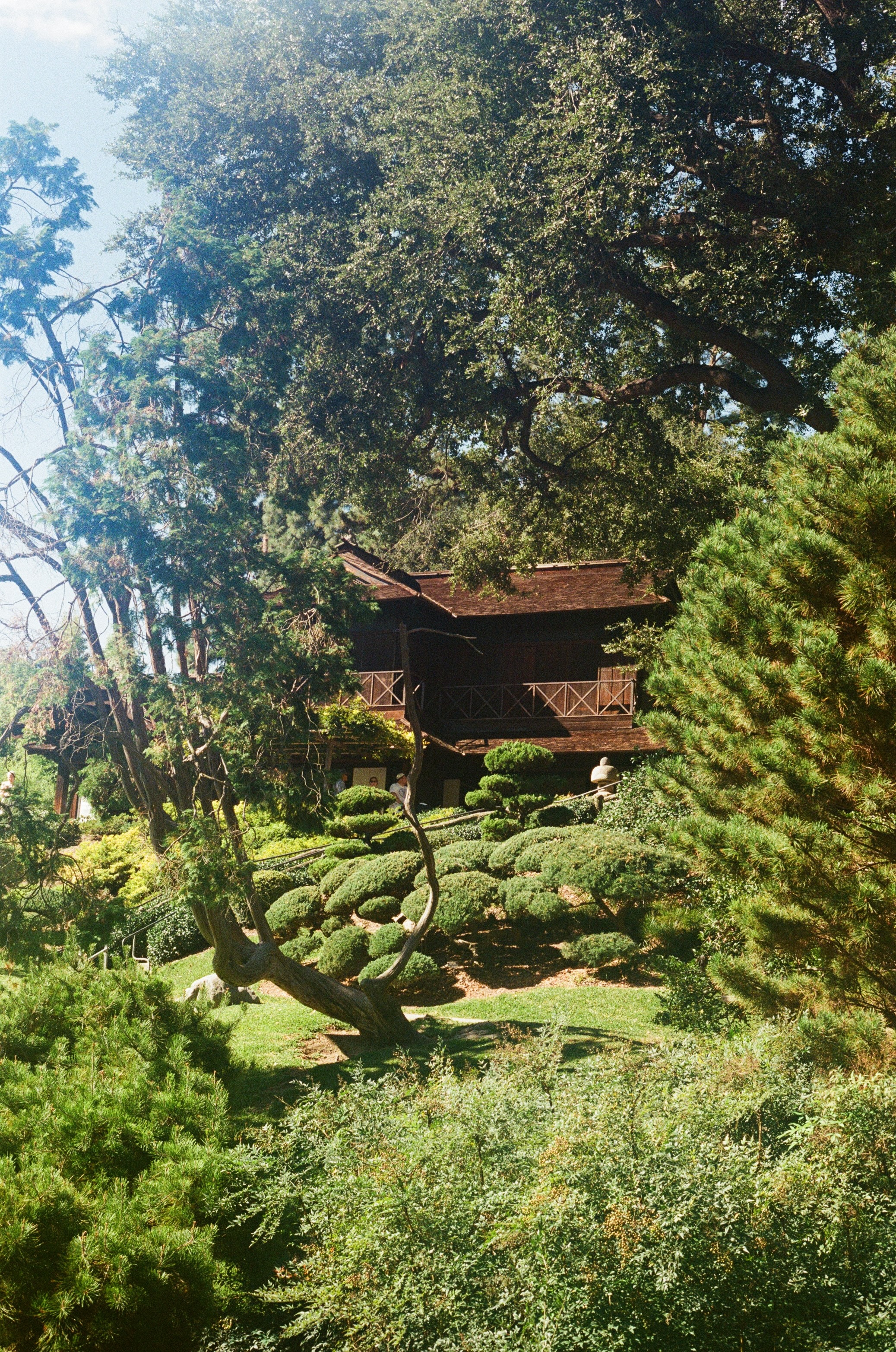 061271010033.jpg